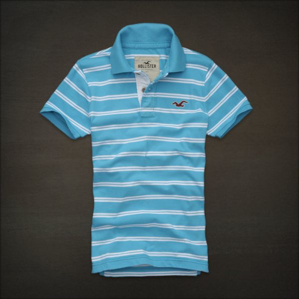 Polo Hollister