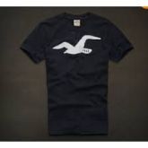 Camiseta Hollister