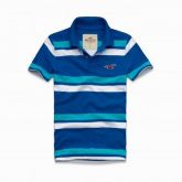 Polo Hollister