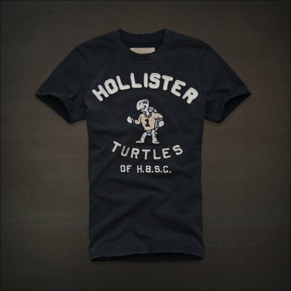 Camiseta Hollister