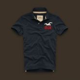 Polo Hollister