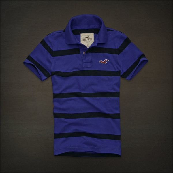 Polo Hollister