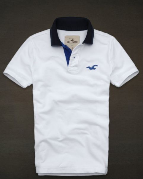 Polo Hollister