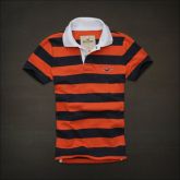 Polo Hollister