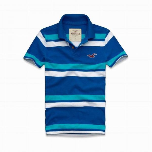 Polo Hollister