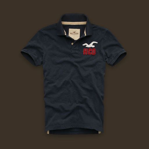 Polo Hollister