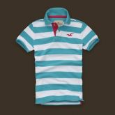 Polo Hollister