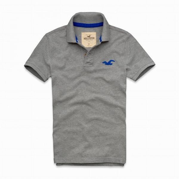 Polo Hollister