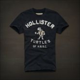 Camiseta Hollister