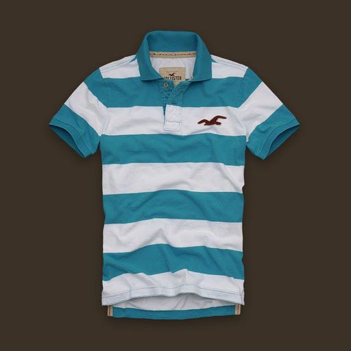 Polo Hollister